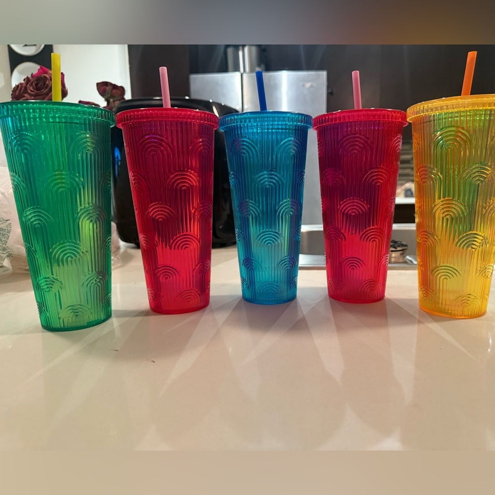 Vibrant Rainbow Tumbler Set